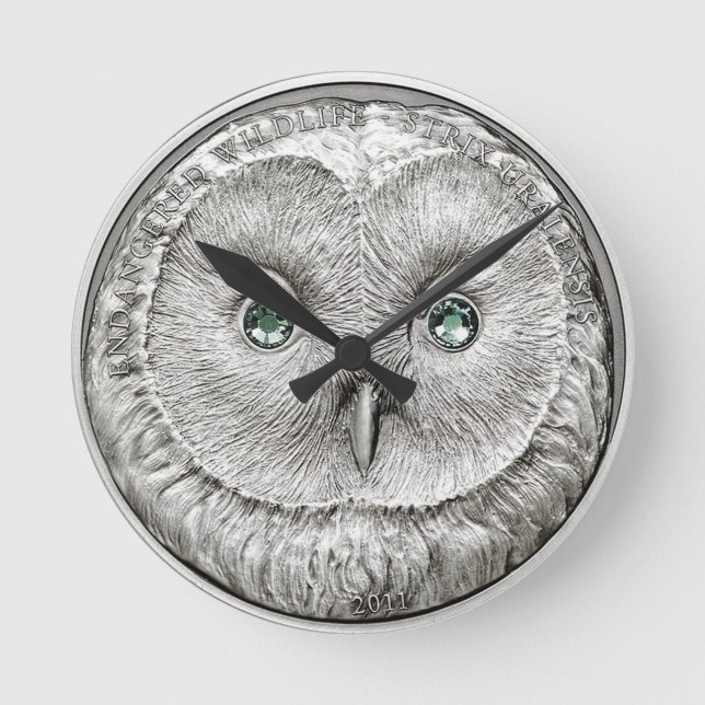WILD THINGS: Silver Owl Round Wall Clock Runde Wanduhr (Vorderseite)