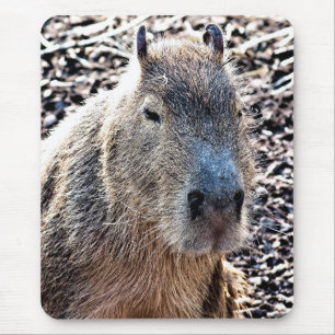WILD TIERCAPYBARA MOUSEPAD