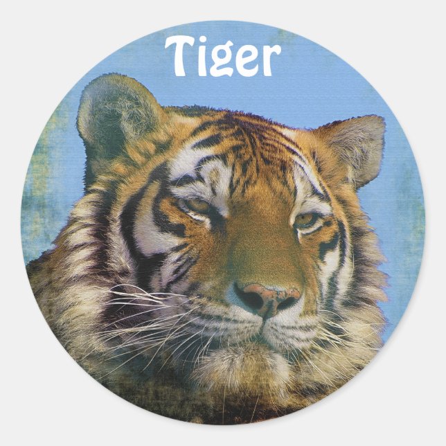 Wild Tiger Big Cat Wildlife Stickers (Vorderseite)