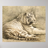 Wild Tiger Safari Jungle Artwork Foto Poster
