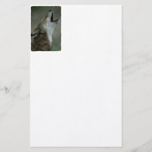 Wild Timber Wolf Howling Briefpapier