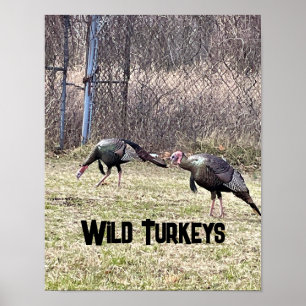 Wild Trukeys Poster