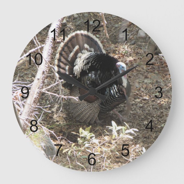Wild Türkei Strutting für die Damen Große Wanduhr (Vorderseite)