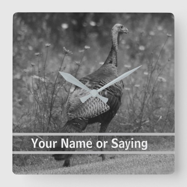 Wild Turkey B&W photo Quadratische Wanduhr (Vorderseite)