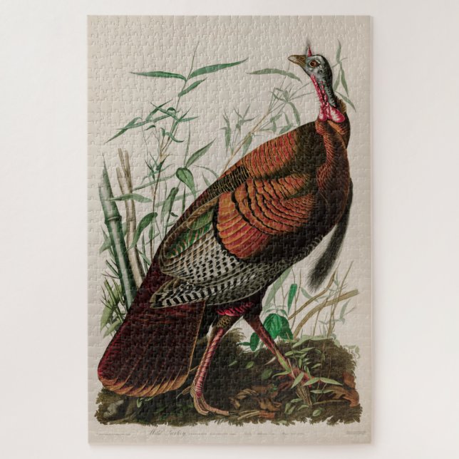 Wild Turkey Birds of America Audubon Print (Vertikal)