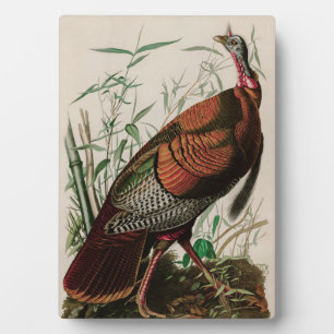 Wild Turkey Birds of America Audubon Print Fotoplatte