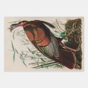 Wild Turkey Birds of America Audubon Print Geschenkpapier Set