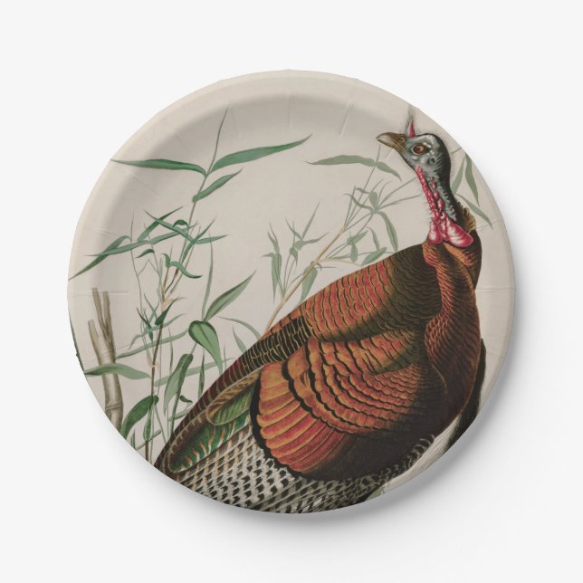 Wild Turkey Birds of America Audubon Print Pappteller (Vorderseite)