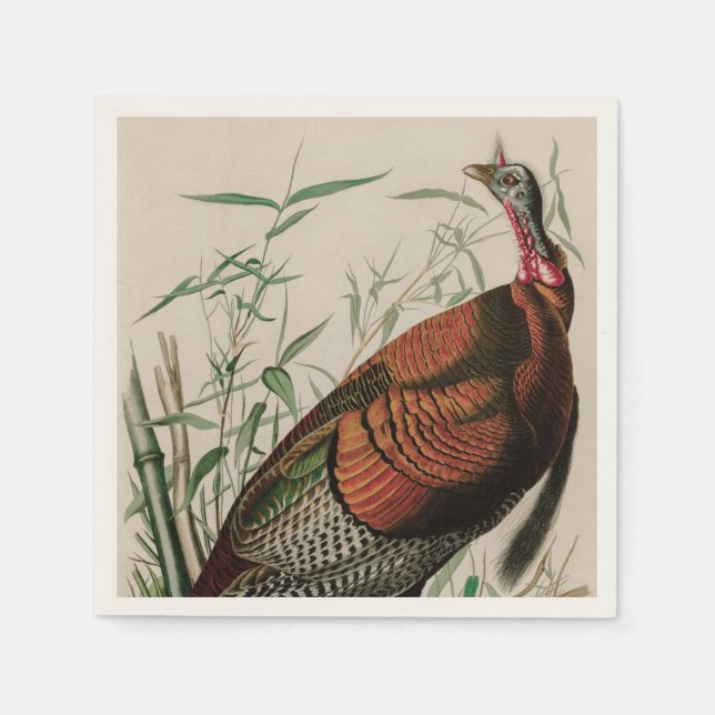 Wild Turkey Birds of America Audubon Print Serviette (Vorderseite)