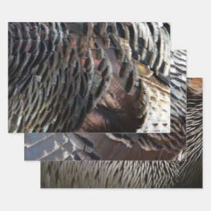 Wild Turkey Feathers I Abstrakt Nature Design Geschenkpapier Set