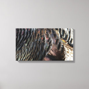Wild Turkey Feathers I Abstrakt Nature Design Leinwanddruck