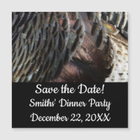 Wild Turkey Feathers I Abstrakt Nature Design