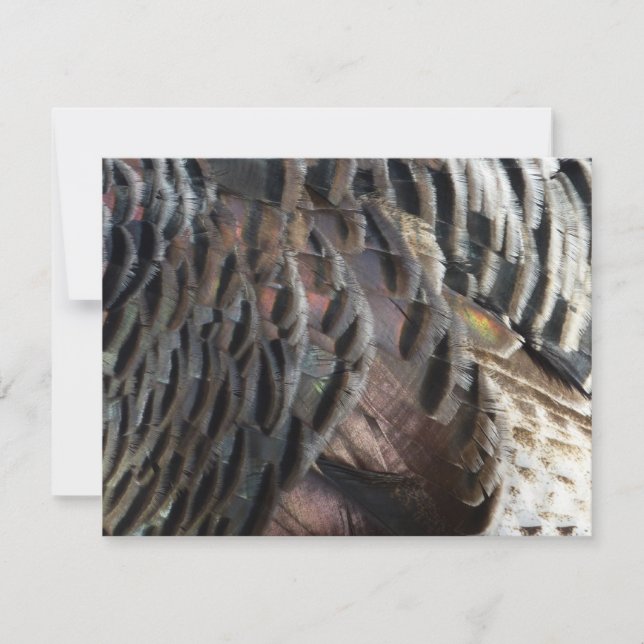 Wild Turkey Feathers I Abstrakt Nature Design Mitteilungskarte (Vorderseite)