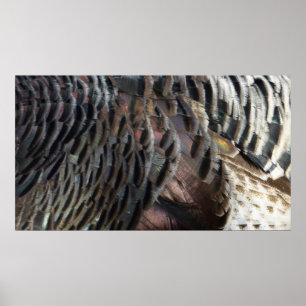 Wild Turkey Feathers I Abstrakt Nature Design Poster