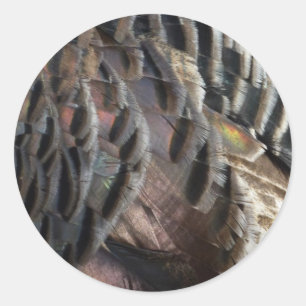 Wild Turkey Feathers I Abstrakt Nature Design Runder Aufkleber
