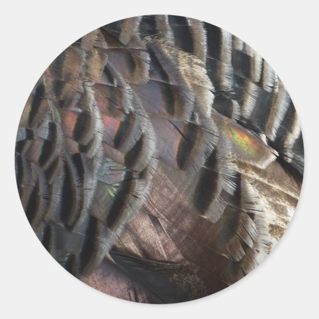 Wild Turkey Feathers I Abstrakt Nature Design Runder Aufkleber (Vorderseite)