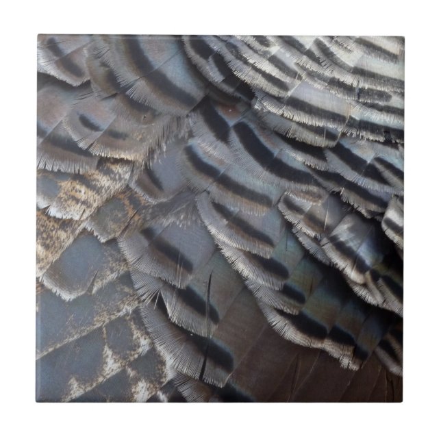 Wild Turkey Feathers II Abstrakte Naturgestaltung Fliese (Vorderseite)