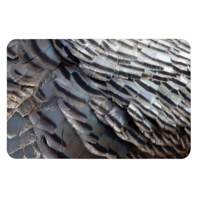 Wild Turkey Feathers II Abstrakte Naturgestaltung Magnet (Horizontal)