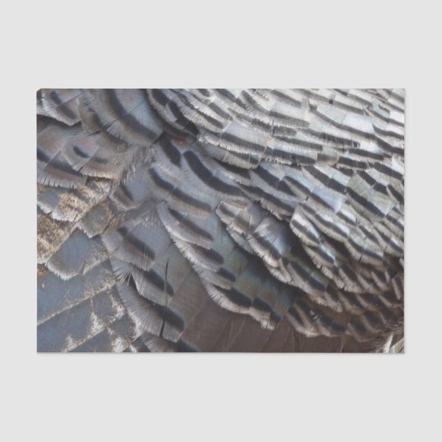 Wild Turkey Feathers II Abstrakte Naturgestaltung Seidenpapier (Vorderseite)