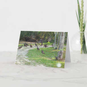 Wild Turkey Feiertagskarte