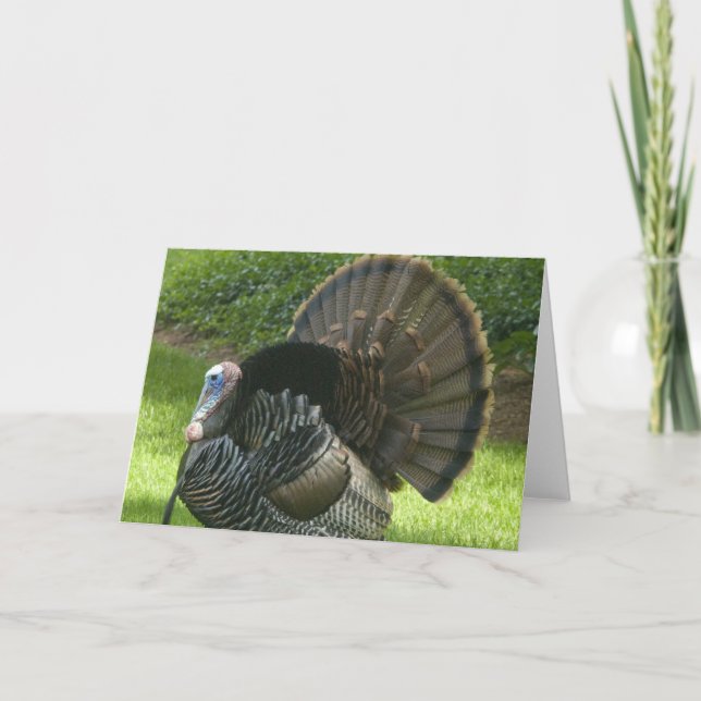 Wild Turkey Grußkarte Feiertagskarte (Vorderseite)