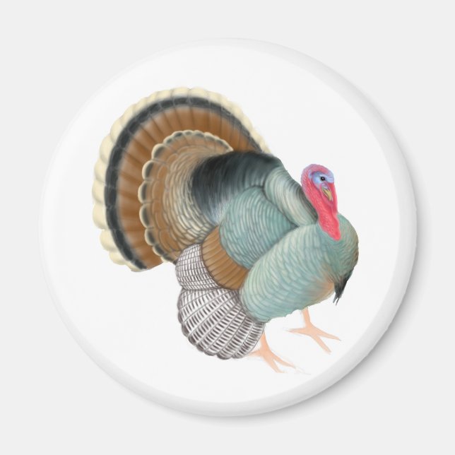 Wild Turkey Magnet (Vorne)