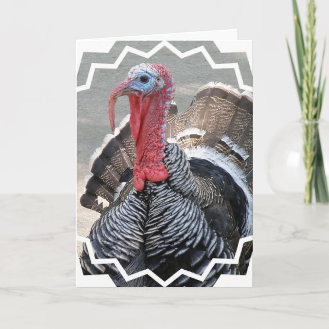 Wild Turkey Picture Greeting Card Feiertagskarte (Vorderseite)