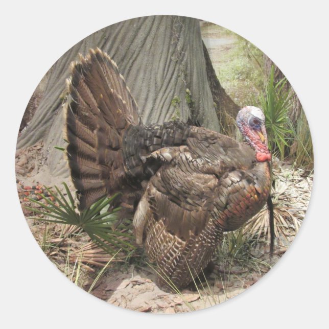 Wild Turkey Stickers (Vorderseite)