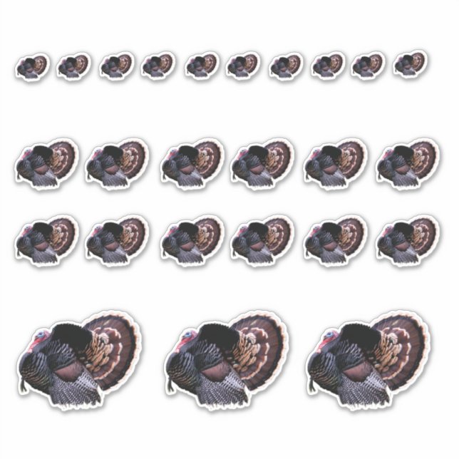 Wild Turkey Stickers Aufkleber (Vorderseite)