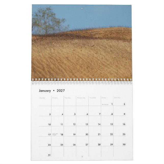 wild über Elefantkalender Kalender (Jan 2027)