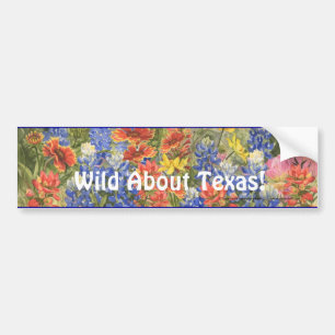 Wild über Texas! Autoaufkleber