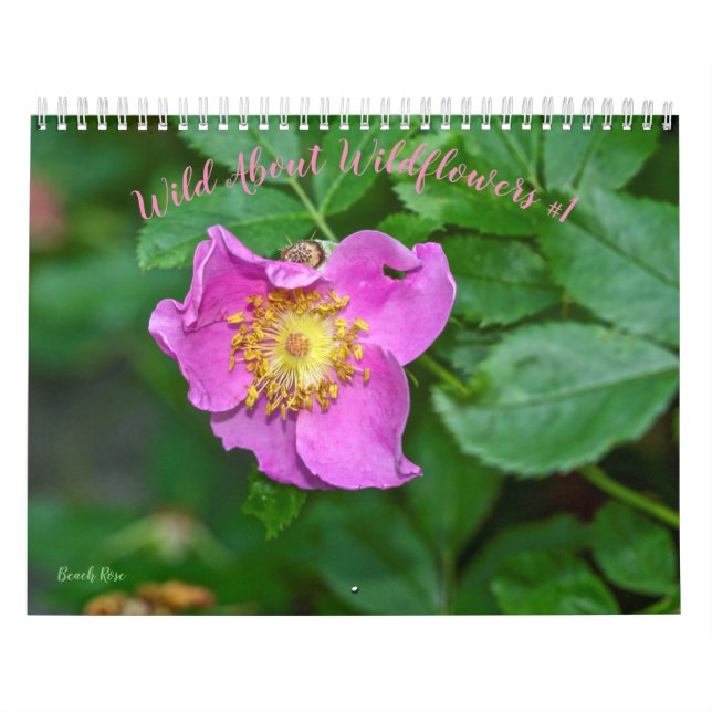 Wild über Wildblumen #1 Kalender (Titelbild)