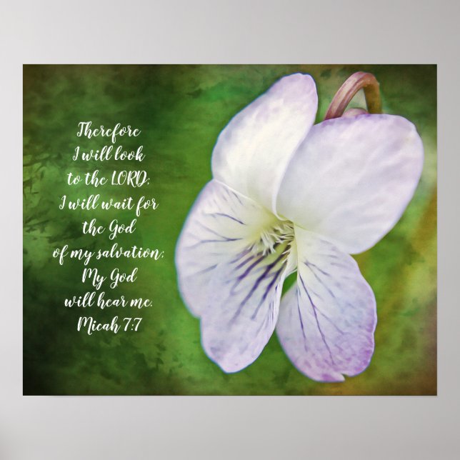 Wild Violet Blume Bible Scripting Poster (Vorne)