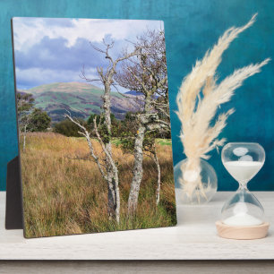 WILD WALES FOTOPLATTE