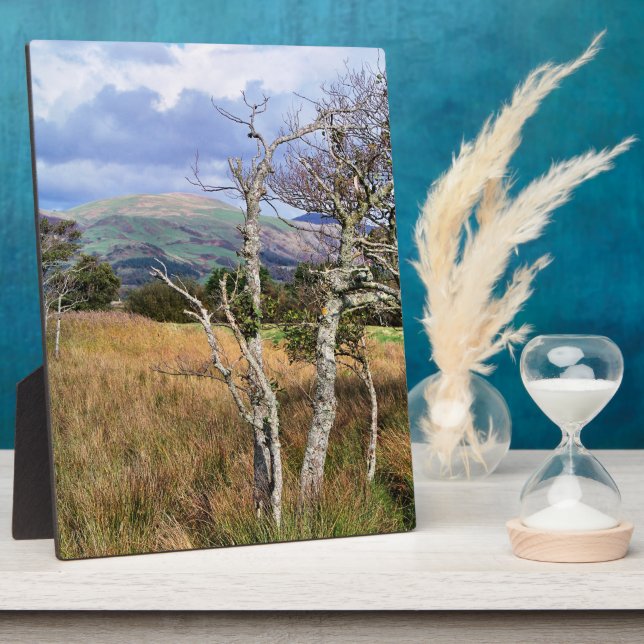 WILD WALES FOTOPLATTE (Seite)