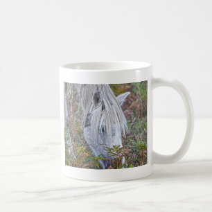 Wild Weiß New Forest Pony Weiden auf Bracken Kaffeetasse