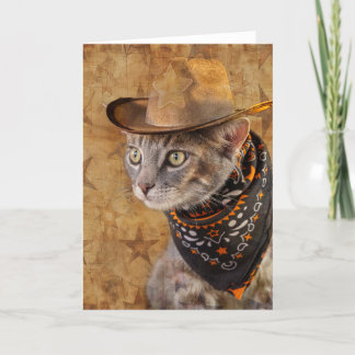 Wild West Kitty Notecard Ankündigung