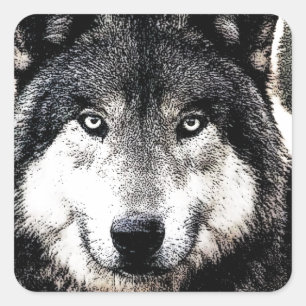 Wild Wolf Artwork Square Sticker