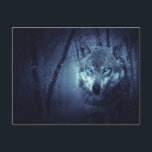 Wild Wolf mit schönen blauen Augen Postkarte<br><div class="desc">Postkarte mit einem Bild eines magischen mystischen Wolfs stehend in einem Wald mit sanftem Schnee umfallen. Es sind auffallende blaue Augen,  die wirklich Ihre Aufmerksamkeit erregen.</div>