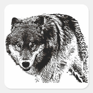 Wild Wolf Quadratischer Aufkleber