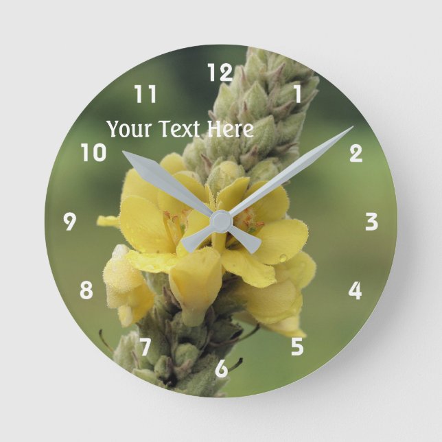 Wild Yellow Mullein Flower Runde Wanduhr (Vorderseite)