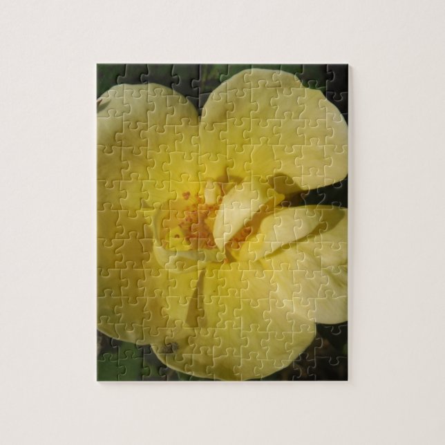 Wild Yellow Rose (Vertikal)