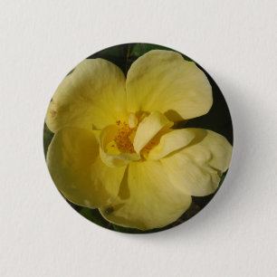 Wild Yellow Rose Button