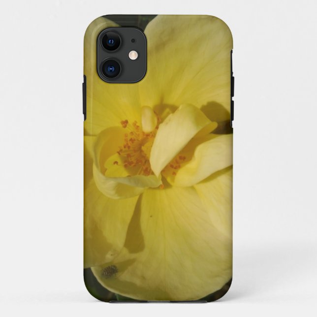 Wild Yellow Rose Case-Mate iPhone Hülle (Rückseite)