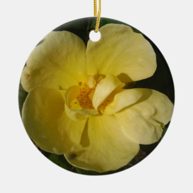 Wild Yellow Rose Keramik Ornament (Vorne)