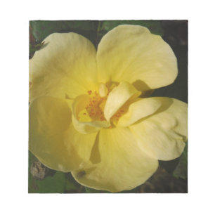 Wild Yellow Rose Notizblock