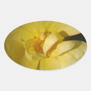 Wild Yellow Rose Ovaler Aufkleber