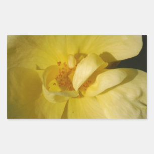 Wild Yellow Rose Rechteckiger Aufkleber