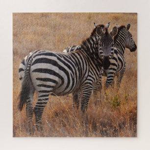 Wild Zebra auf afrikanisch Schlicht