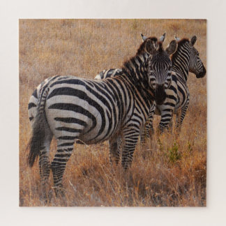 Wild Zebra auf afrikanisch Schlicht